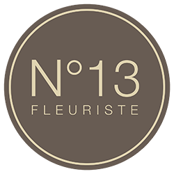 logo N13 fleurise Auxerre