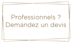 PROFESSIONNELS, devis devis vip box